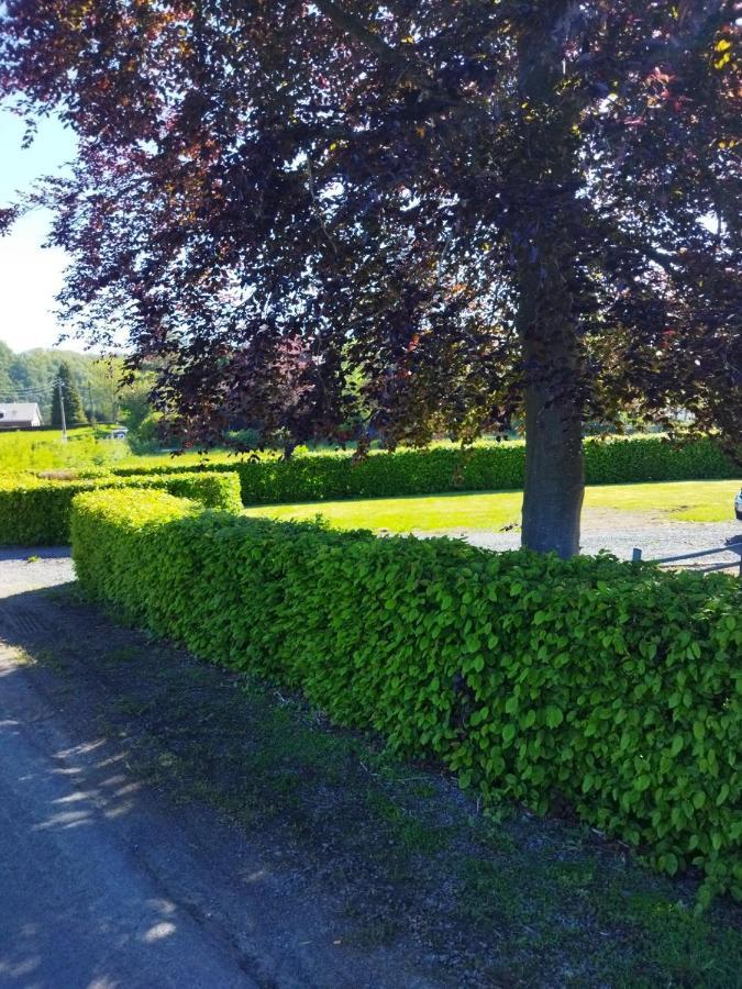 Le Clos Des 3 - Vacances Avec Vue En Ardennes A 5 Kilometres De La Roche - Maison De 90 M2 Avec Chambres - Avec Magnifique Jardin Рандё Экстерьер фото